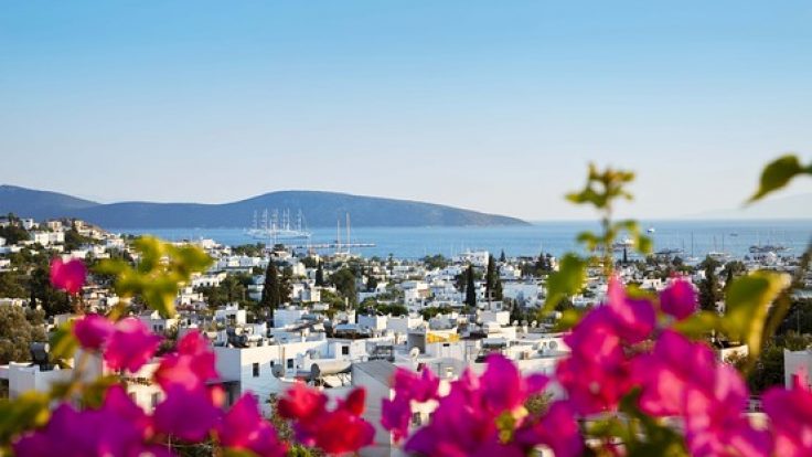 Bodrum Nakliyat %25 indirim
